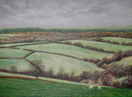 Fields at Knowstone