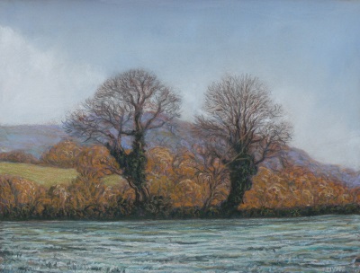 Two trees near Tutshill in
                frost