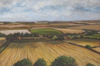 Cornfields from Marleycombe