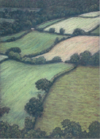 fields near Rosemoor Gardens